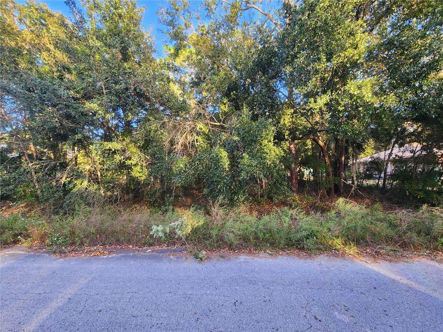 Surround yourself by nature, parks, lakes, and more in this awesome location for your new home! This quaint little neighborhood is just a hop away from the Tsala Chain of Lakes, a skip from the Whispering Pines and Liberty Park, and jump any amenity needed within the beautiful city of Inverness. Zoned for residential and outside of the flood hazard area, this paved road parcel is a promising place to build your dream home.