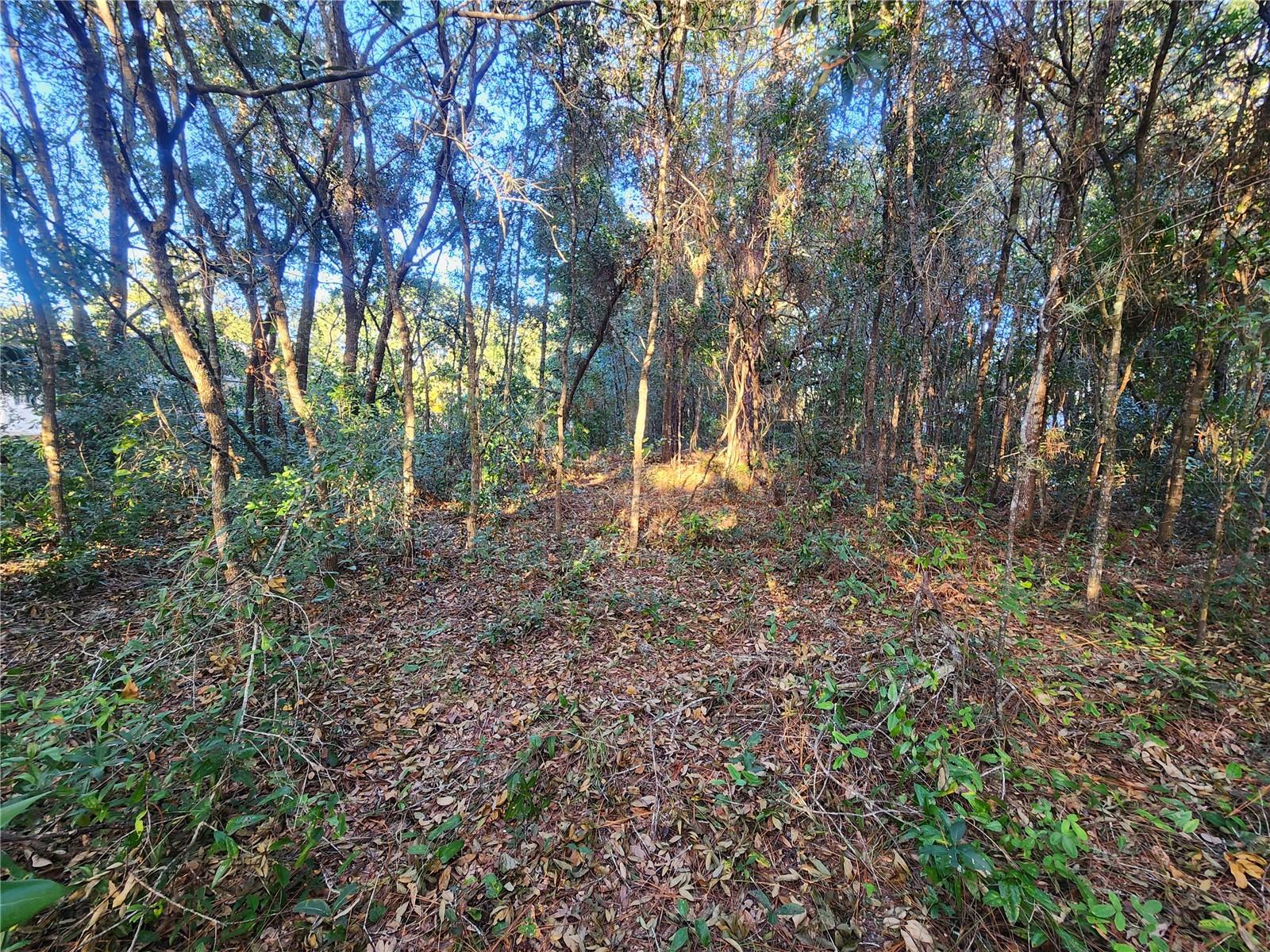 WHITE LAKE SUB - Land