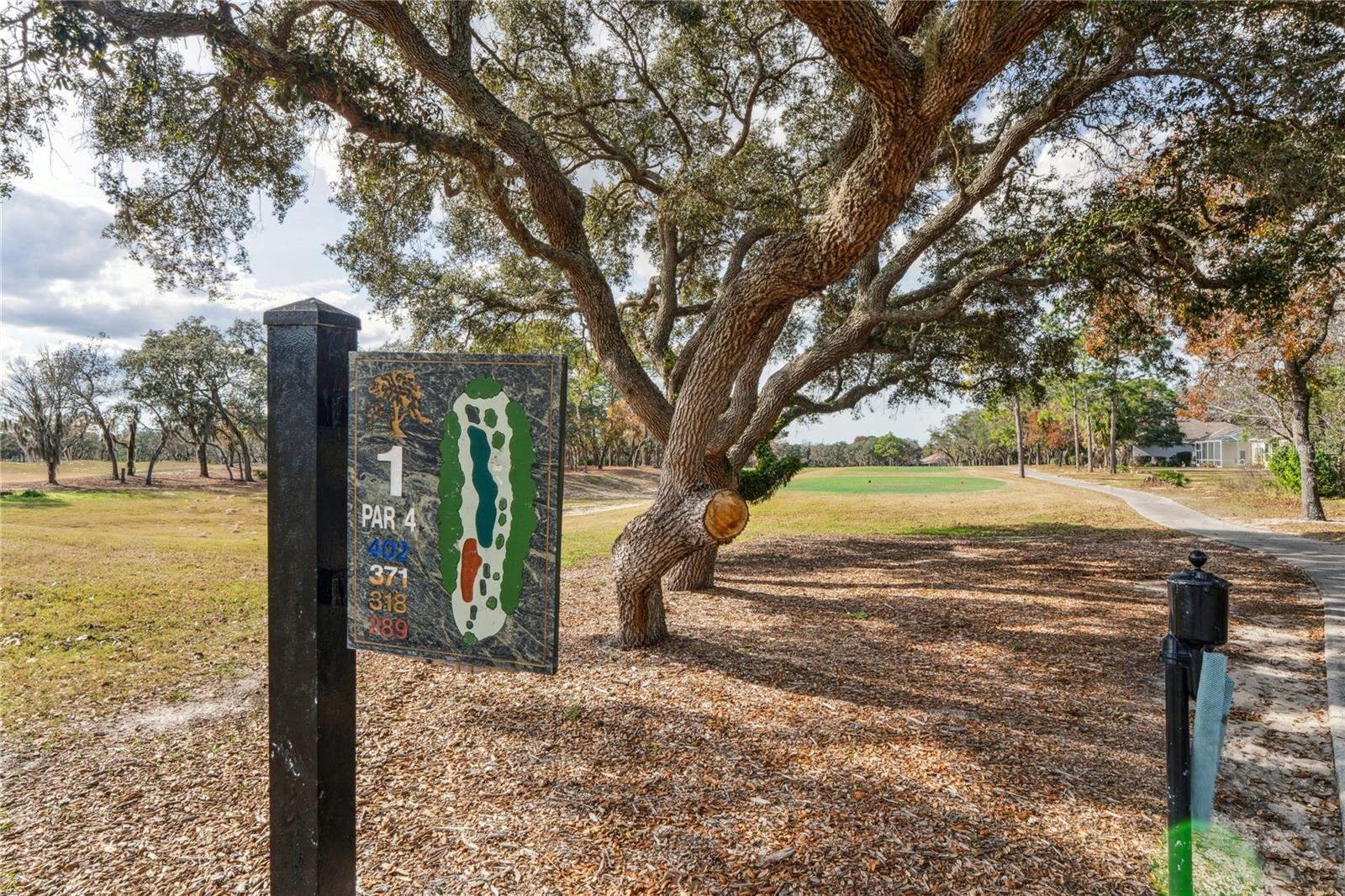 SOUTHERN WOODS AT SUGARMILL WOODS - Residential