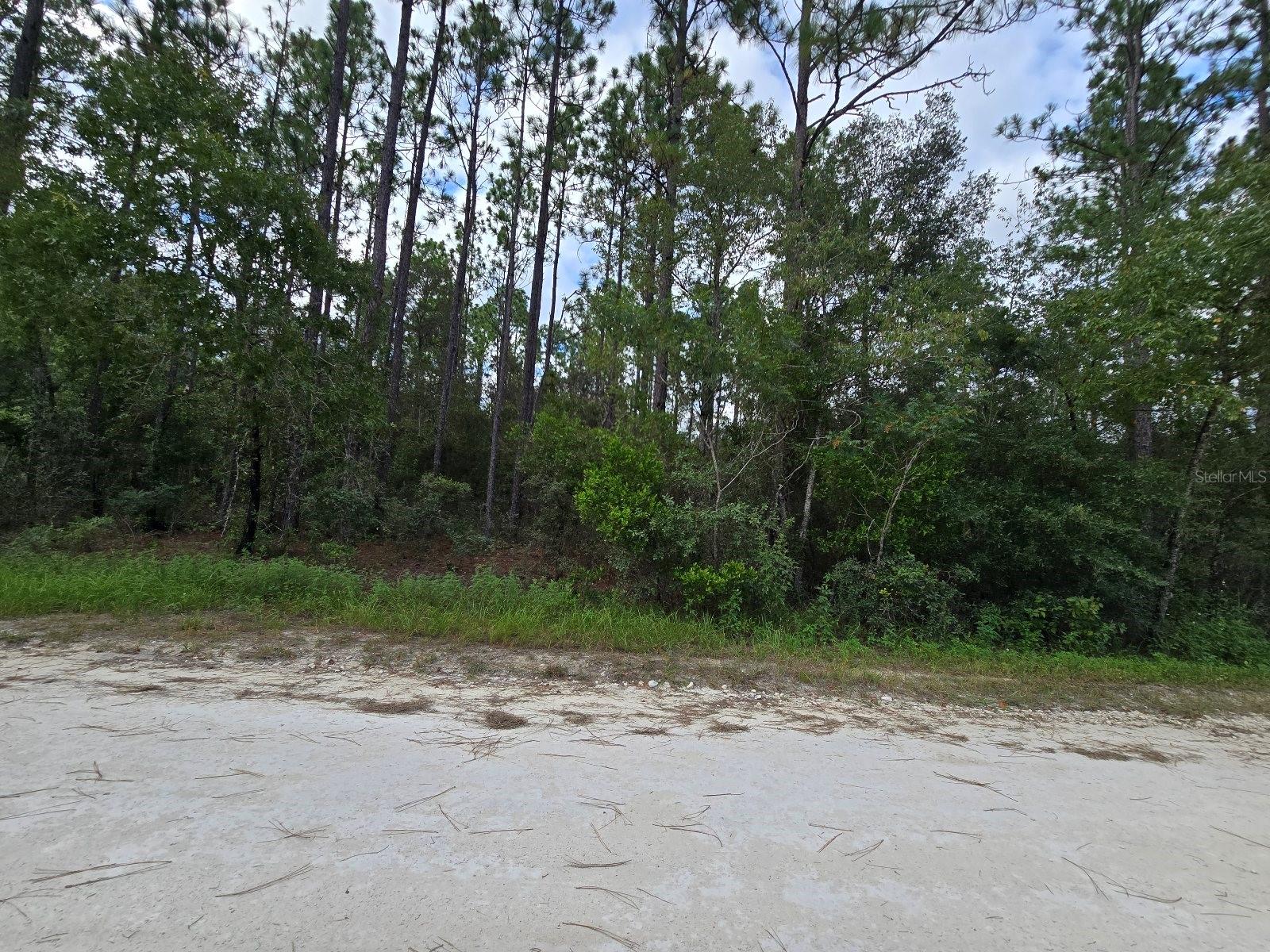 LAKE TROPICANA RANCHETTES - Land