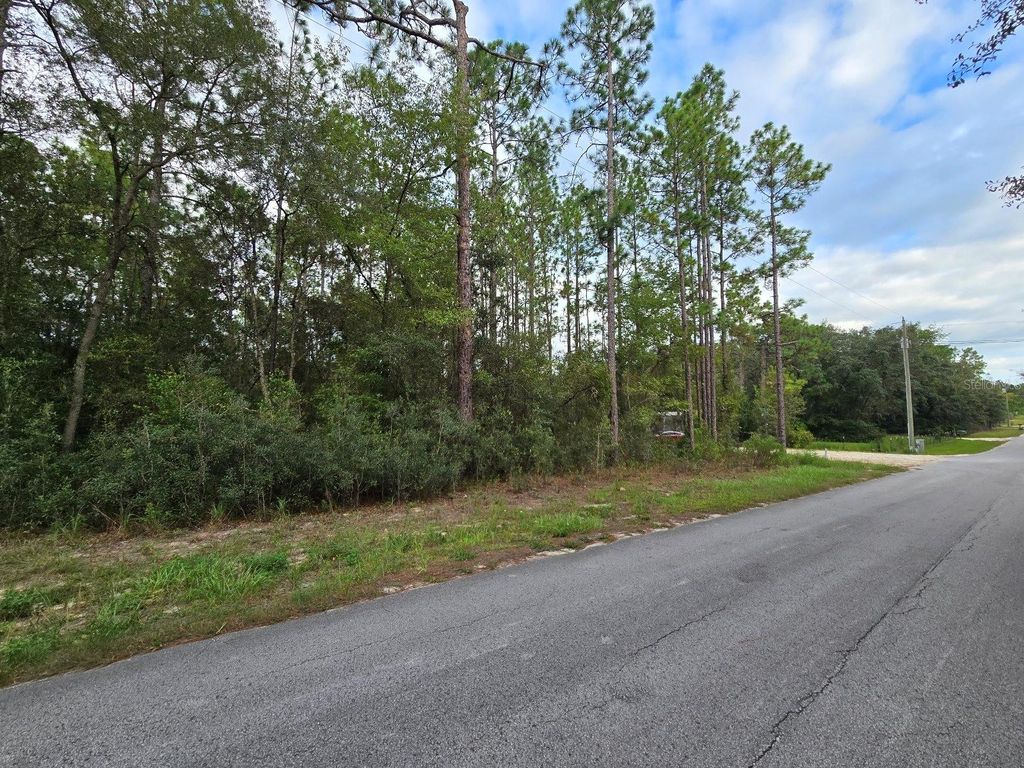 Photo of 178 Terrace, Dunnellon, FL 34432 (MLS # OM708653)