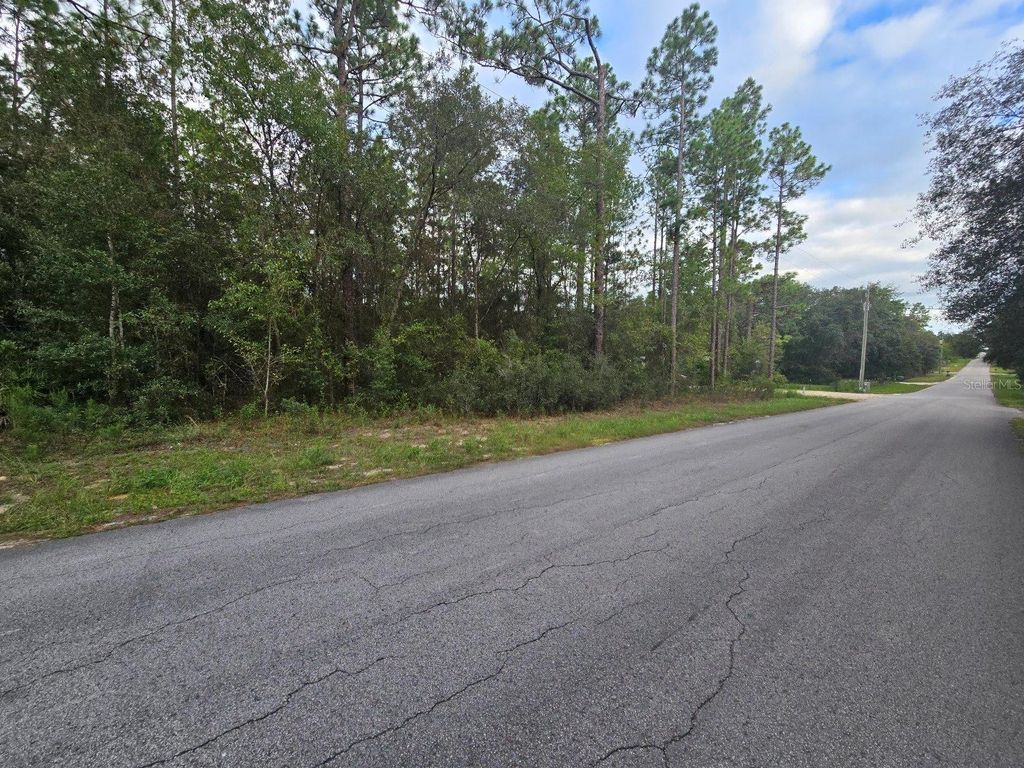 Photo of 178 Terrace, Dunnellon, FL 34432 (MLS # OM708653)