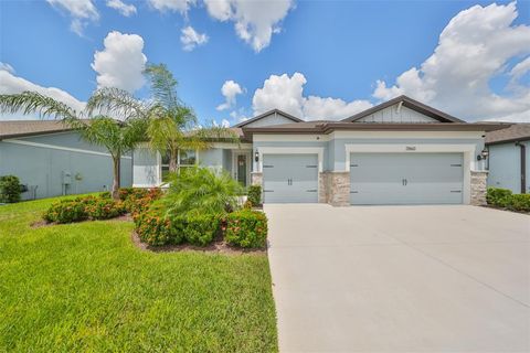 A home in VALRICO