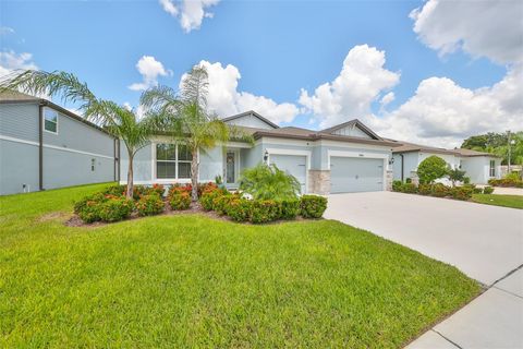 A home in VALRICO