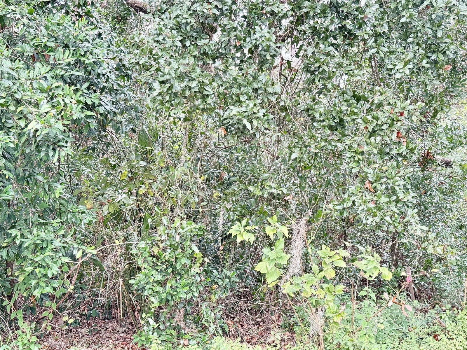 RIVERDALE SEC 1 - Land