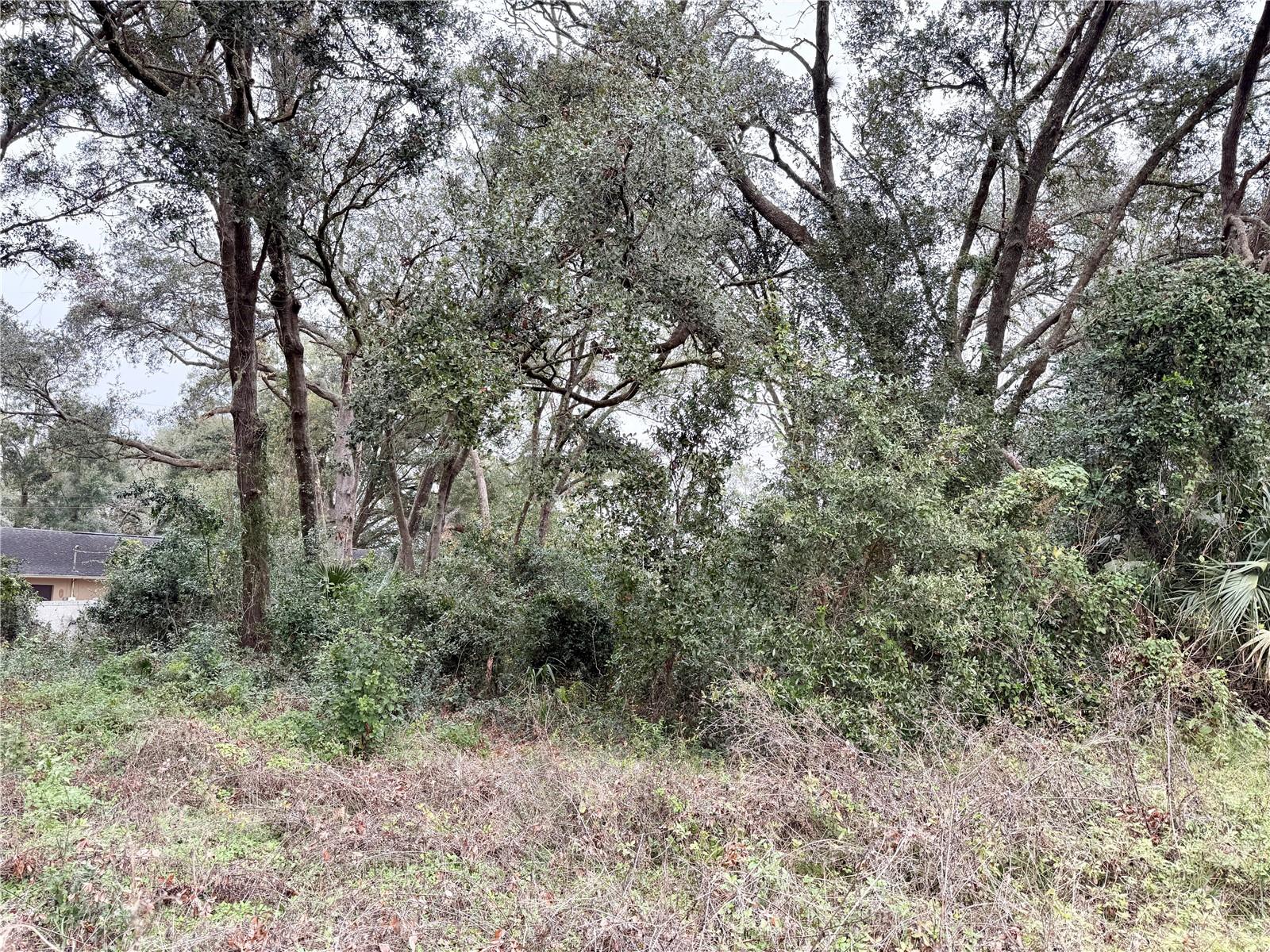 RIVERDALE SEC 1 - Land