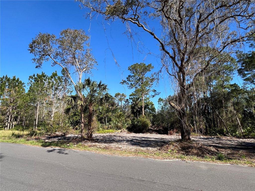 Photo of E 2nd Avenue, Deland, FL 32720 (MLS # V4945347)