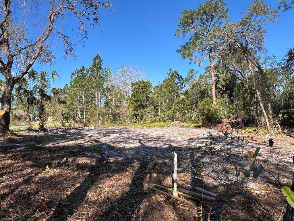 Photo of E 2nd Avenue, Deland, FL 32720 (MLS # V4945347)