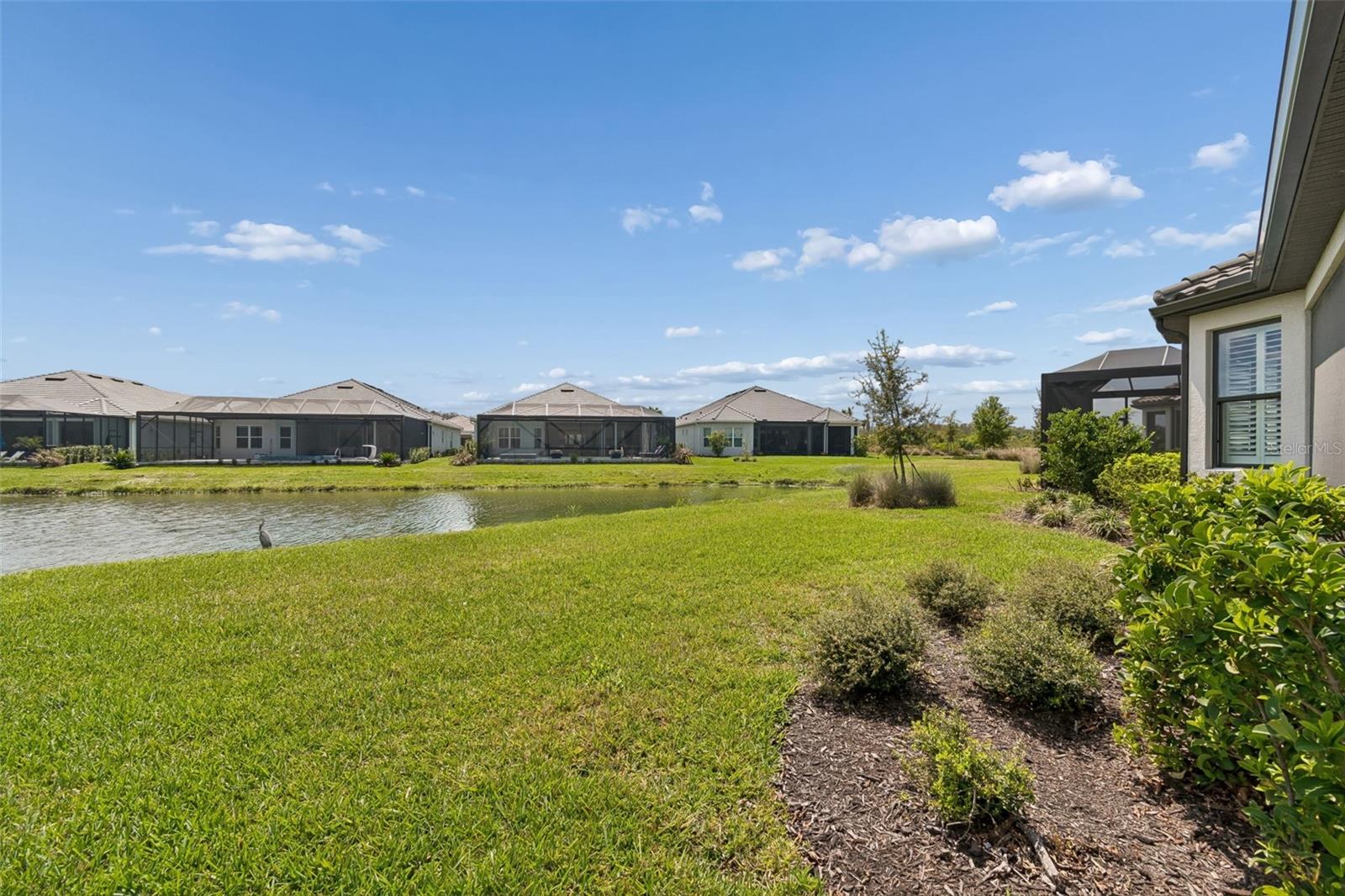 ESPLANADE/WIREGRASS RANCH PH - Residential