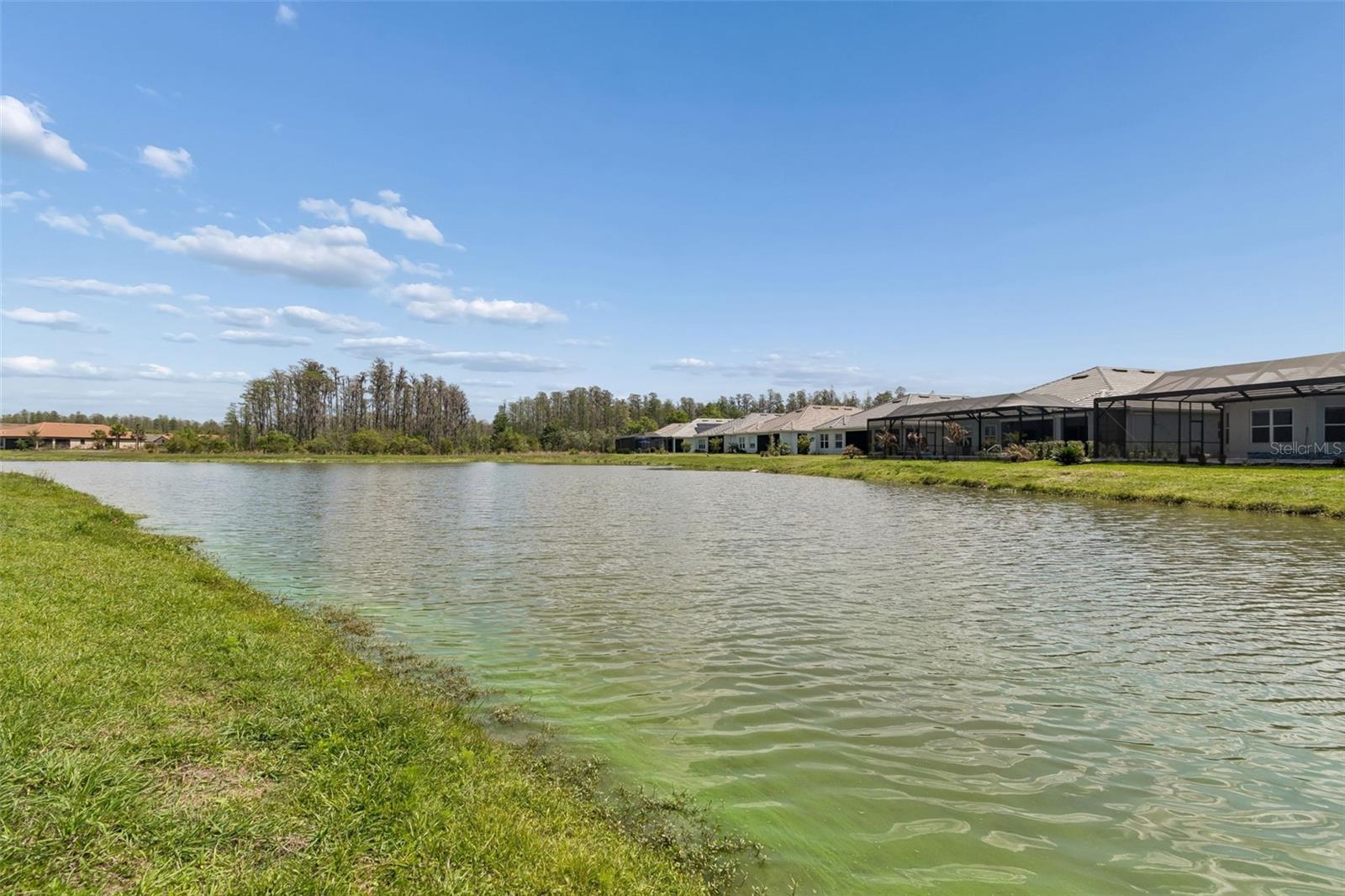 ESPLANADE/WIREGRASS RANCH PH - Residential