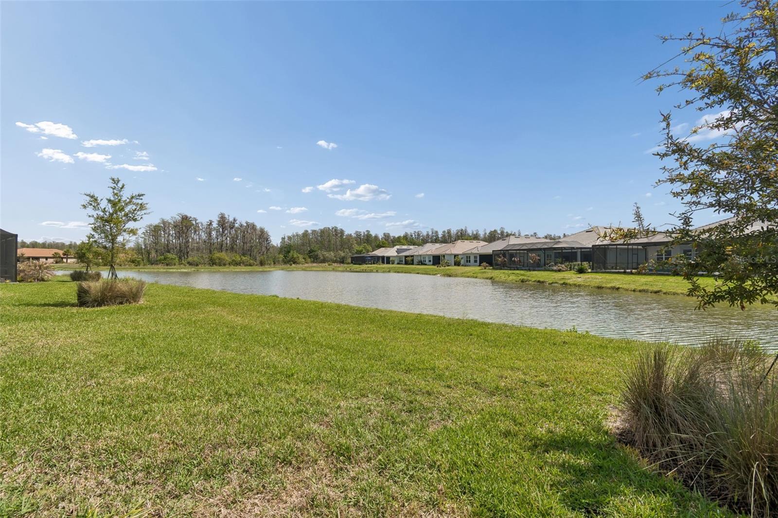 ESPLANADE/WIREGRASS RANCH PH - Residential