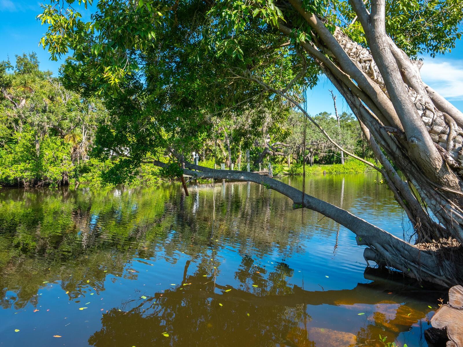 PHILLIPPI LAKE - Residential