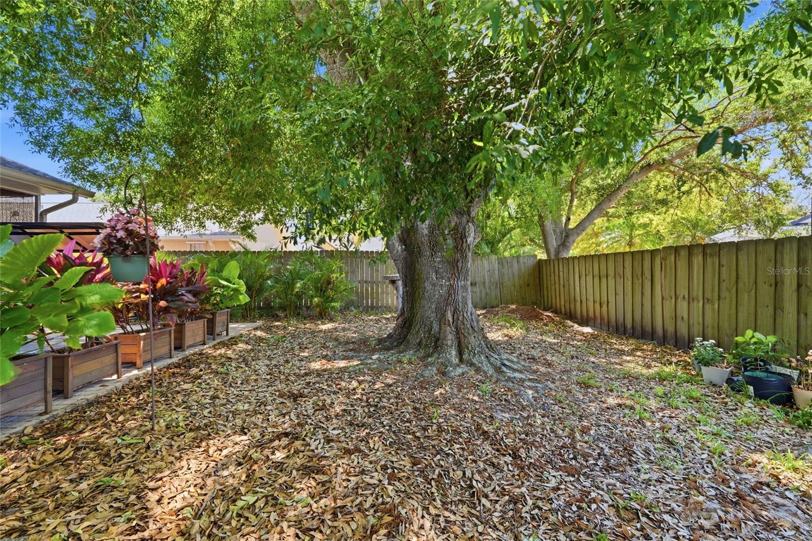 RIVER LANDINGS BLUFFS PH II - Residential