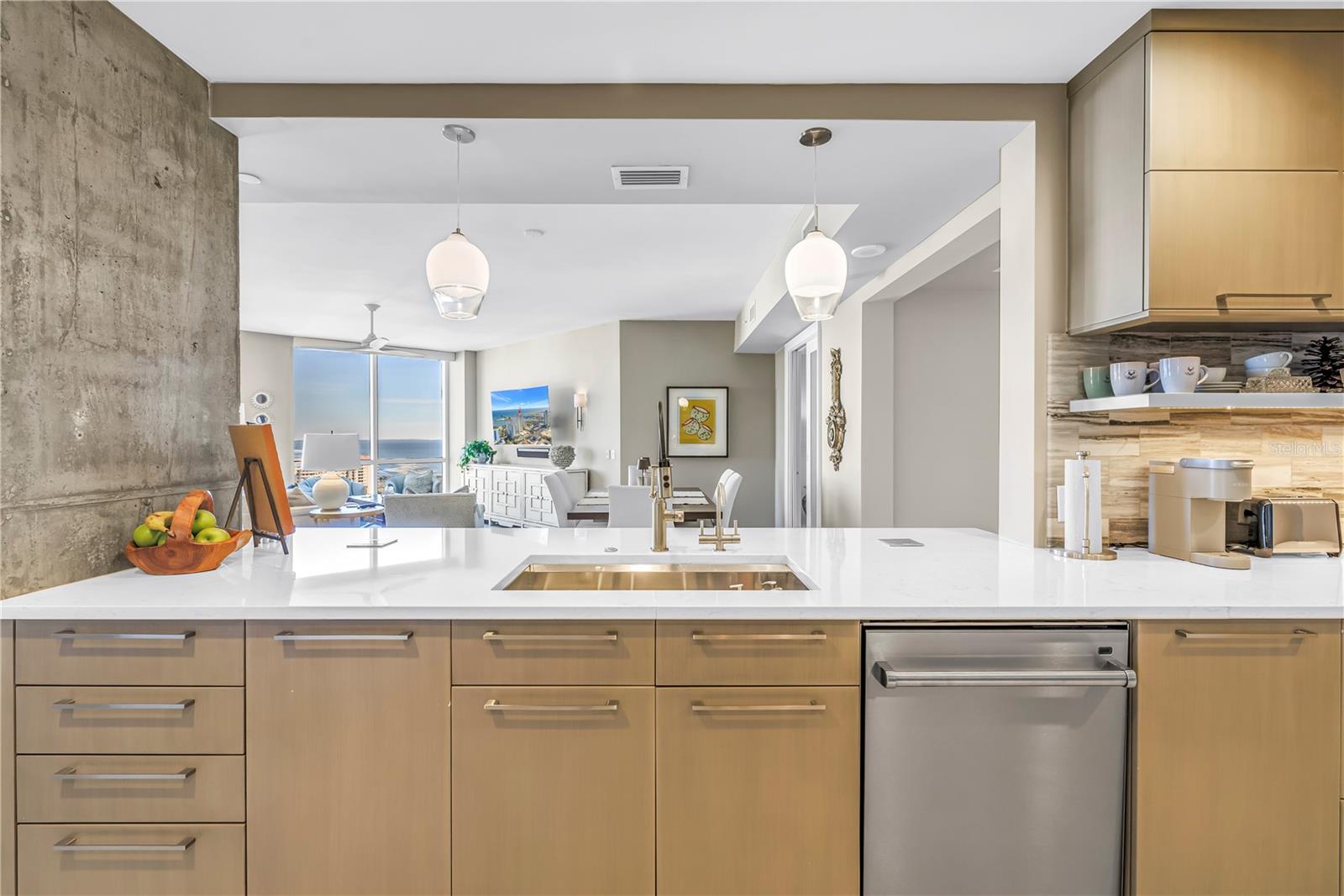 PARKSHORE PLAZA CONDO - Residential