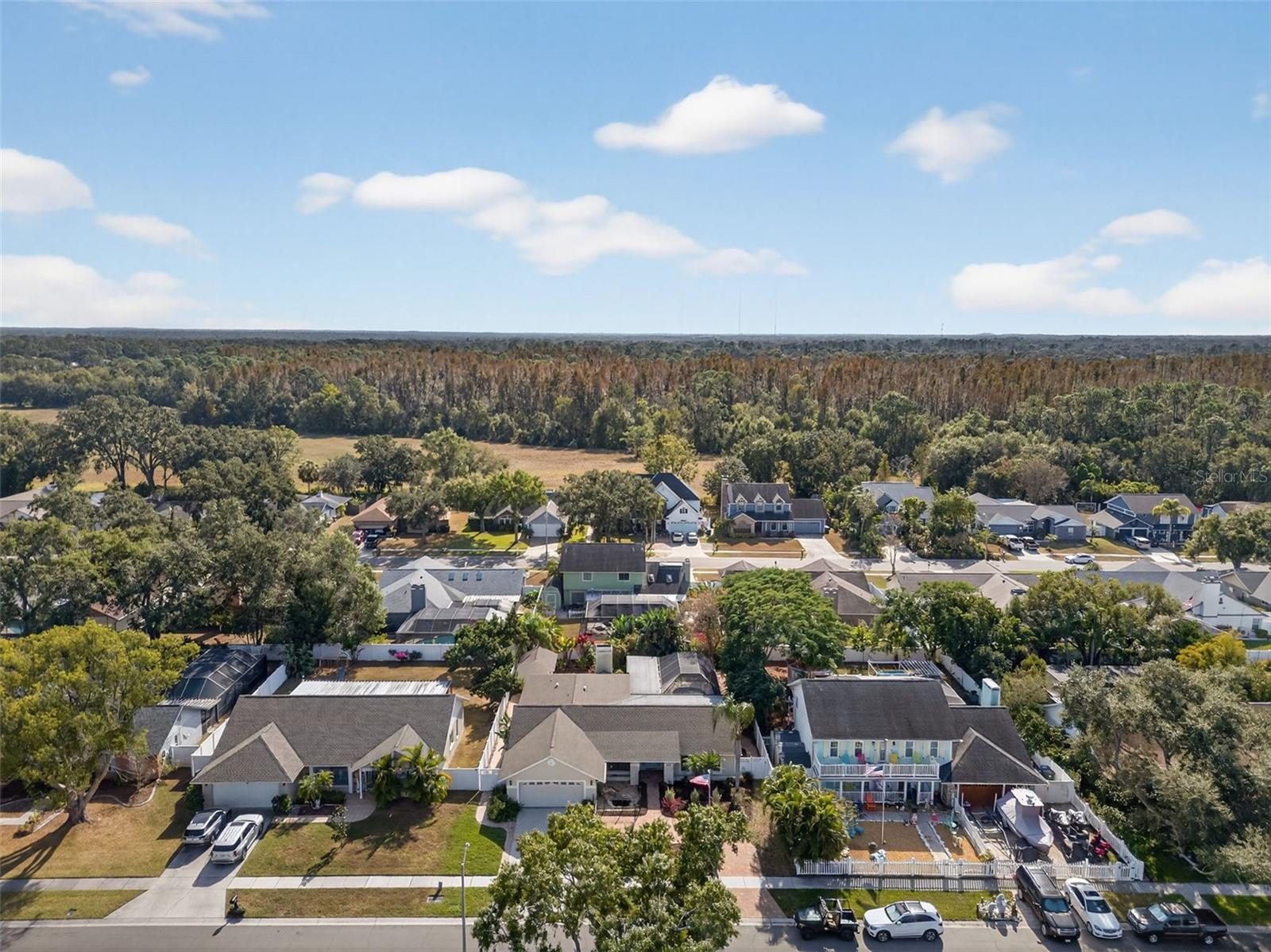 BLOOMINGDALE OAKS - Residential