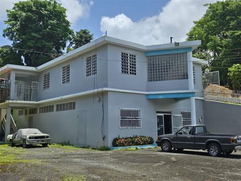 Carr 152 KM 13.1 CEDRO ARRIBA NARANJITO 00719