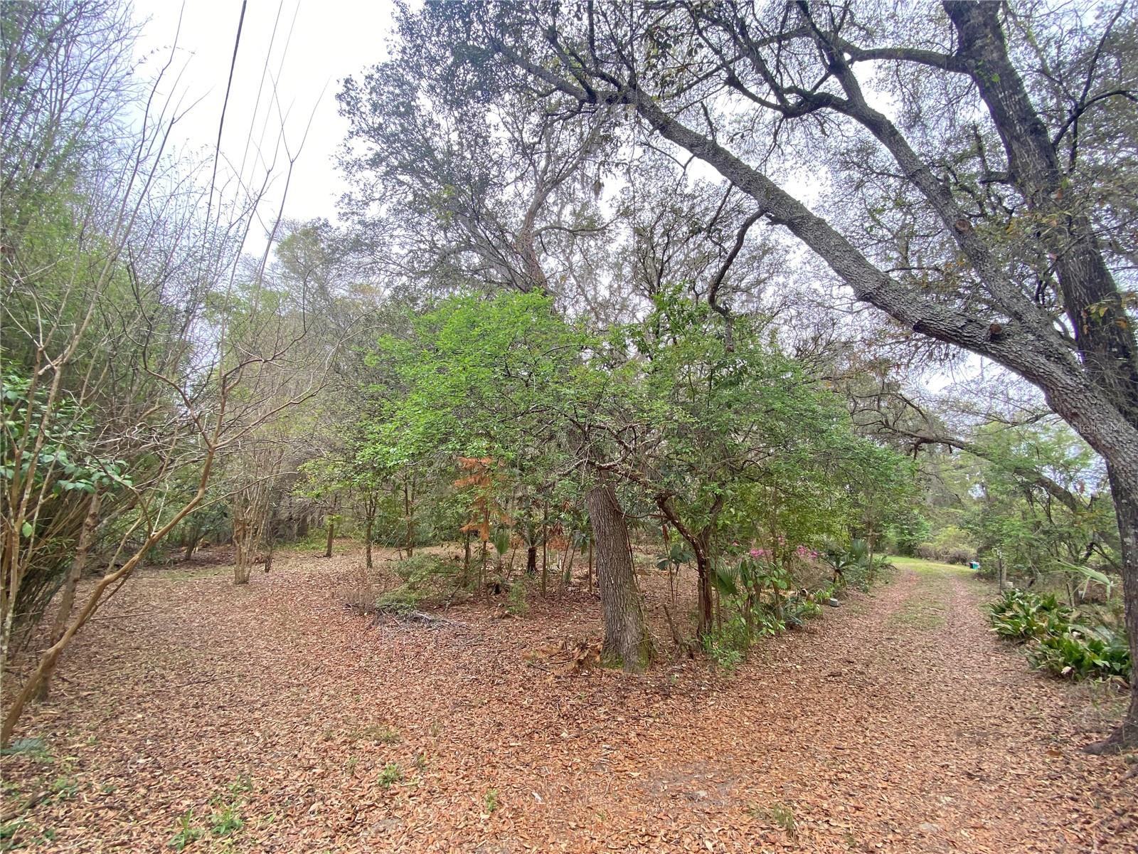 METES AND BOUNDS - Residential