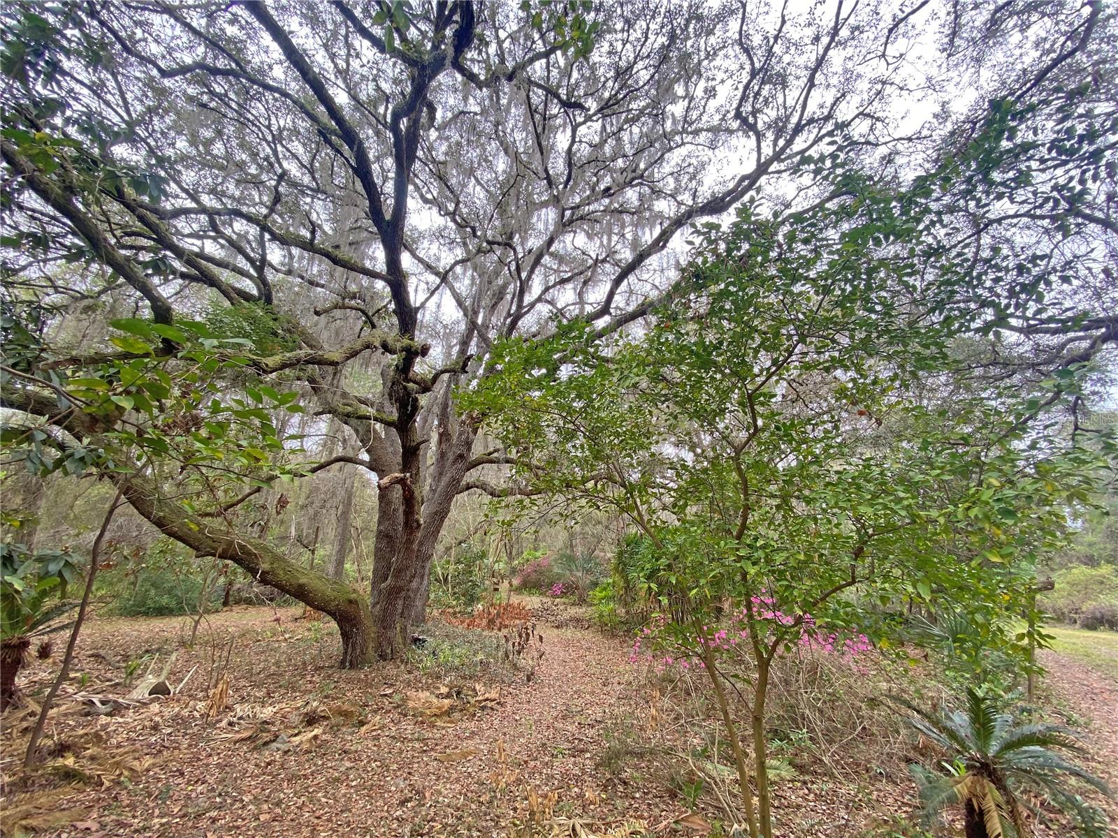 METES AND BOUNDS - Residential