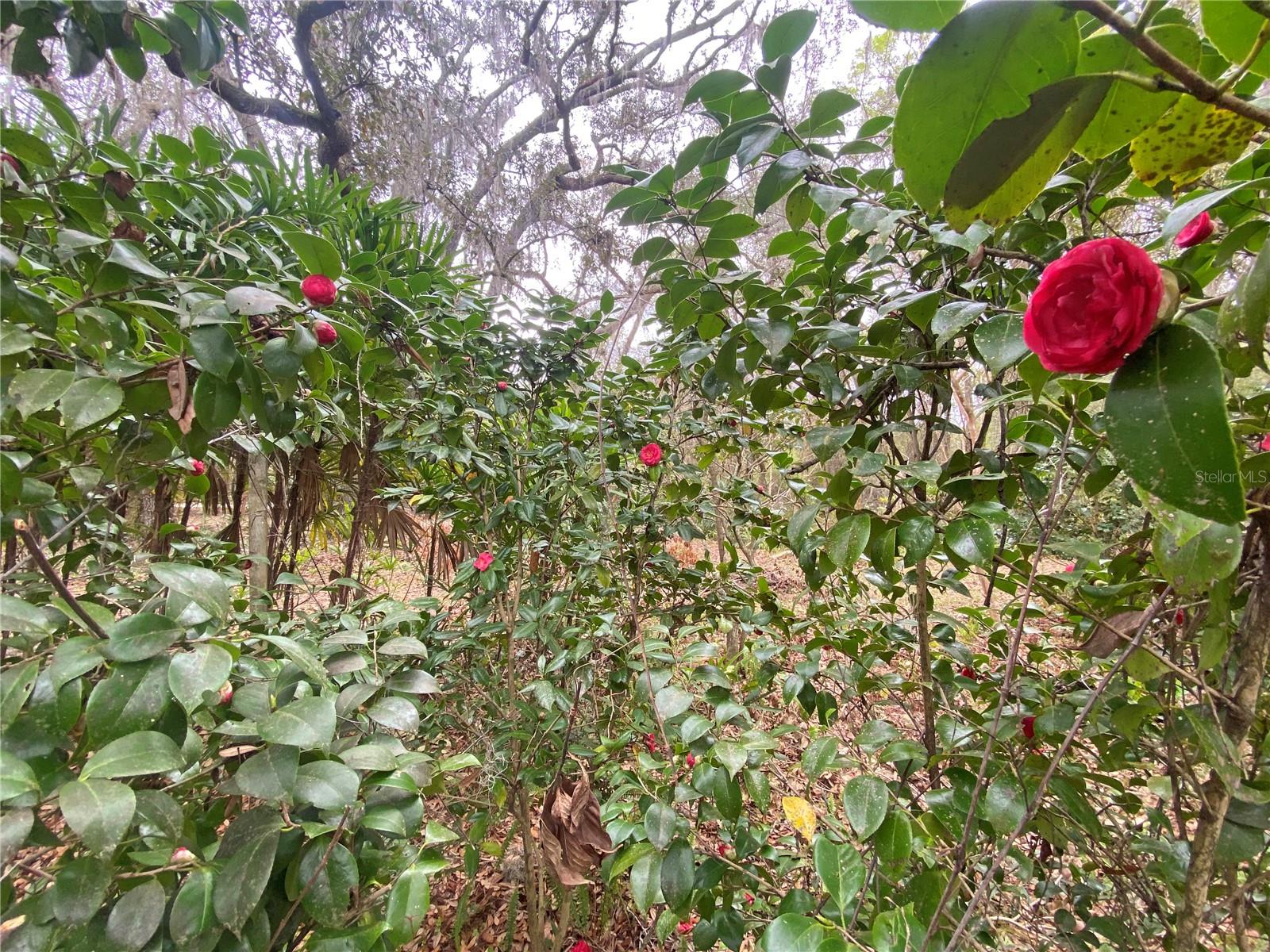 METES AND BOUNDS - Residential