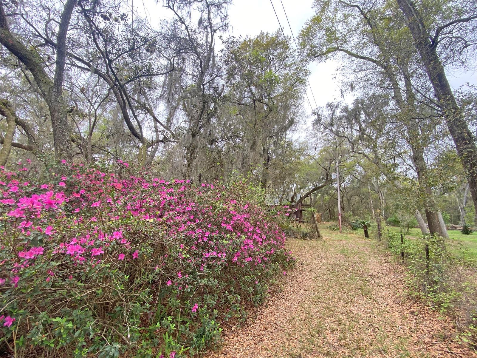 METES AND BOUNDS - Residential