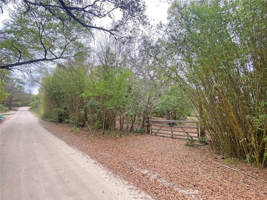 Photo of 119 Twin Lakes Road, Hawthorne, FL 32640 (MLS # GC538681)