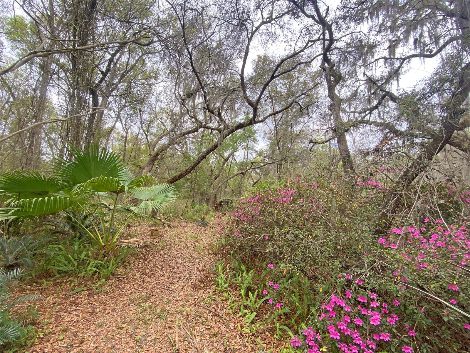 METES AND BOUNDS - Residential
