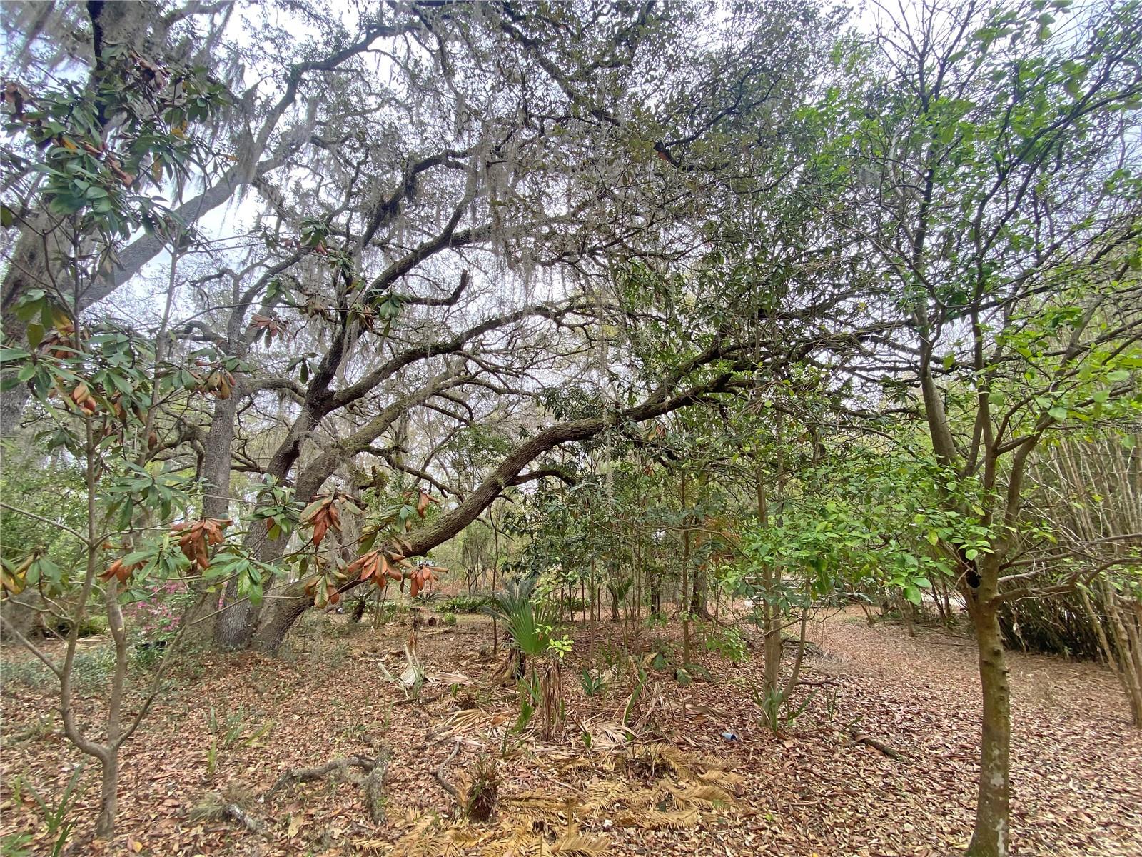 METES AND BOUNDS - Residential