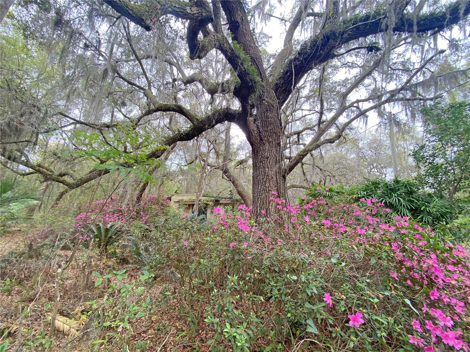 METES AND BOUNDS - Residential