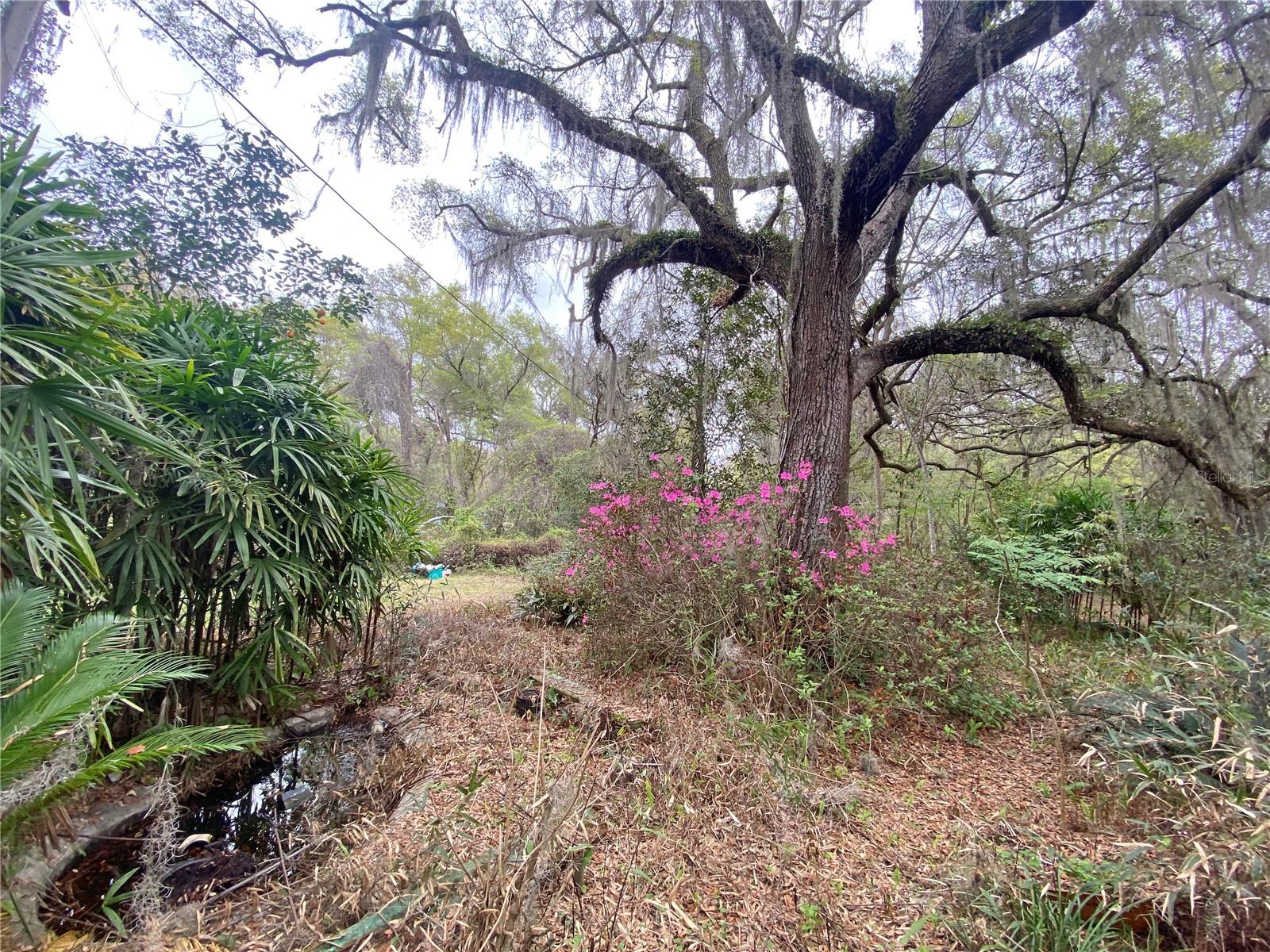 METES AND BOUNDS - Residential