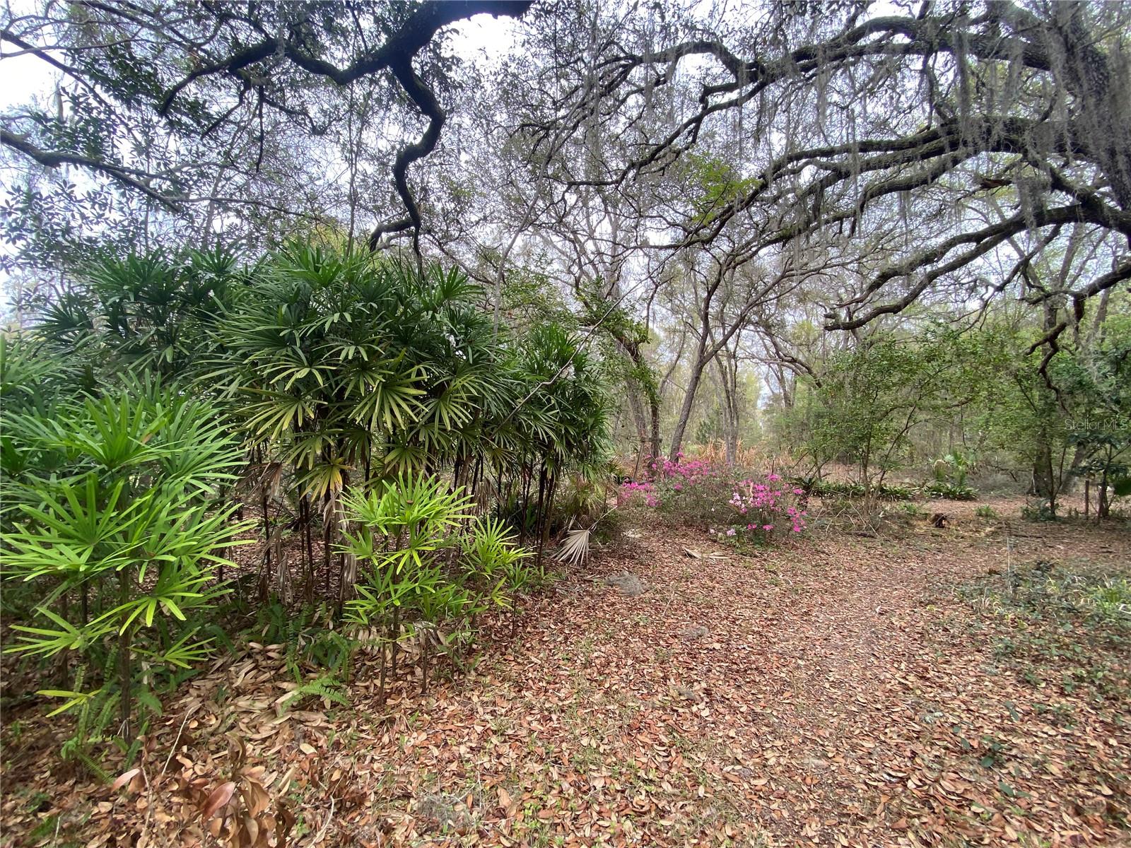 METES AND BOUNDS - Residential