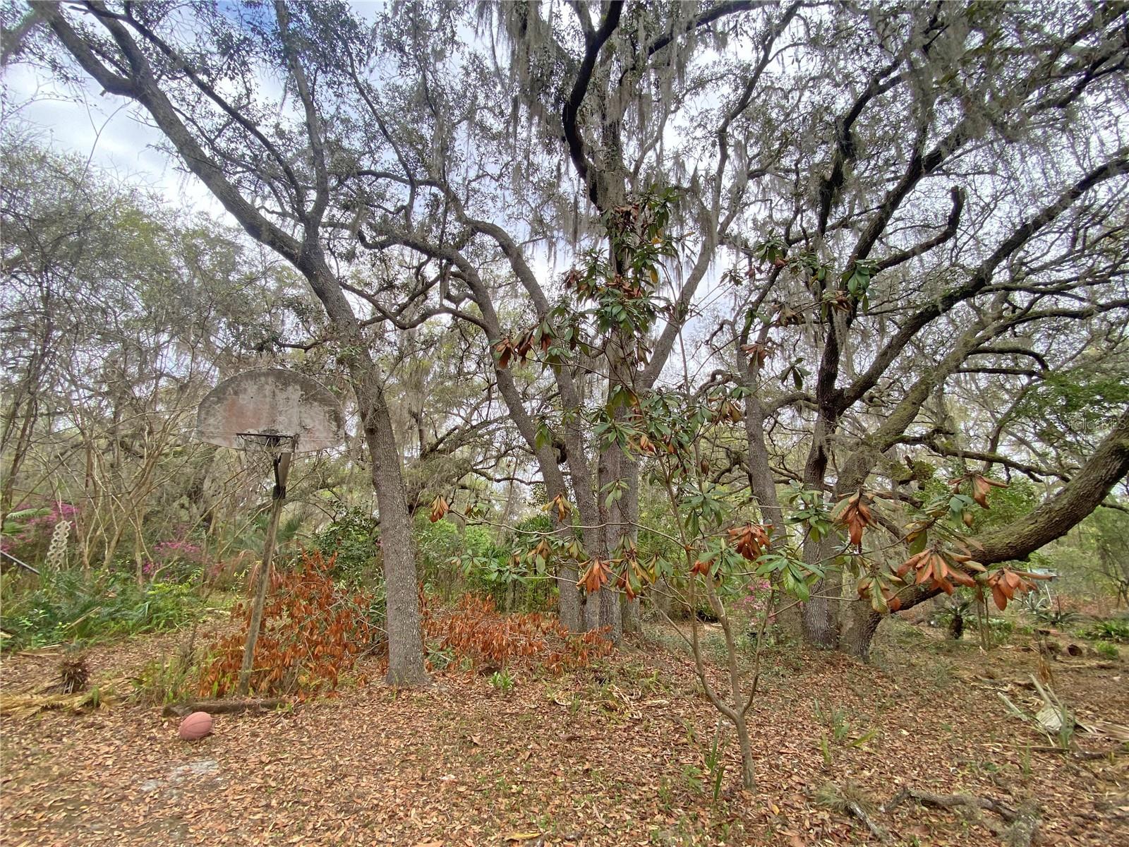 METES AND BOUNDS - Residential