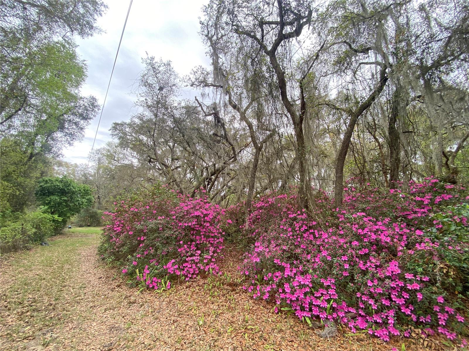 METES AND BOUNDS - Residential