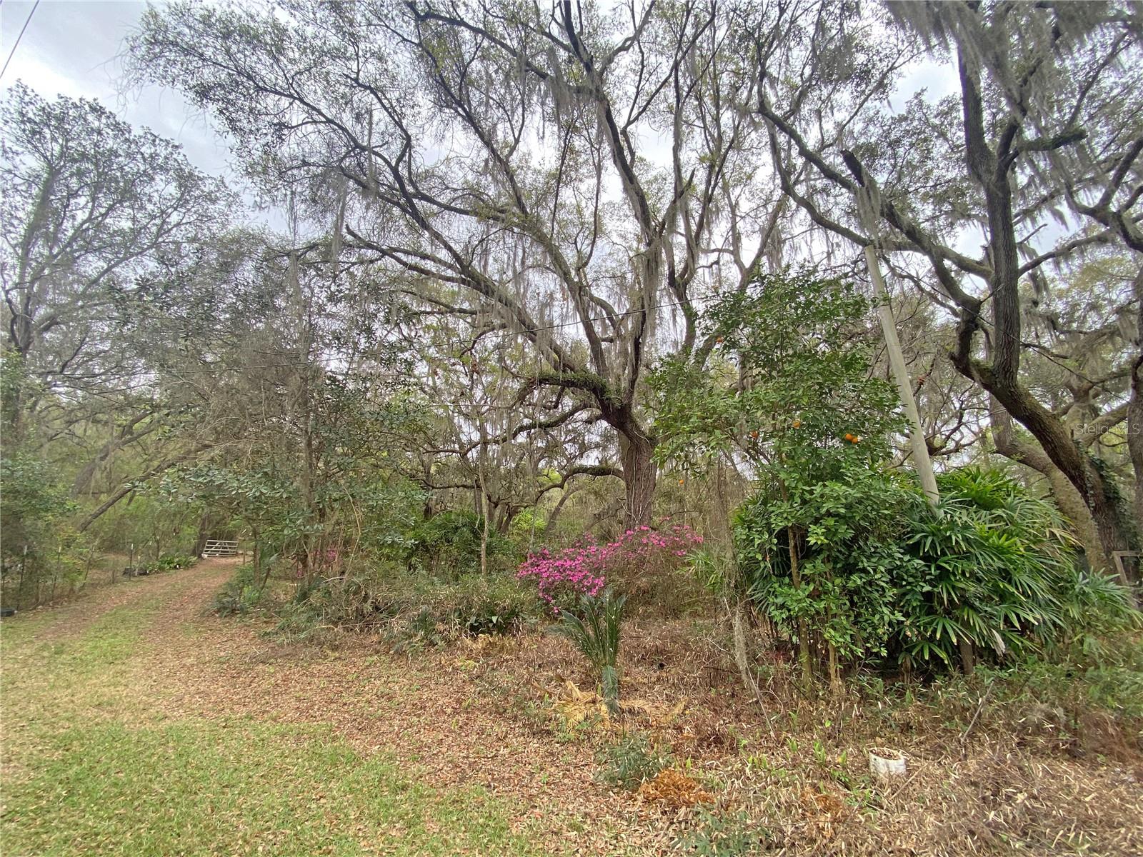 METES AND BOUNDS - Residential