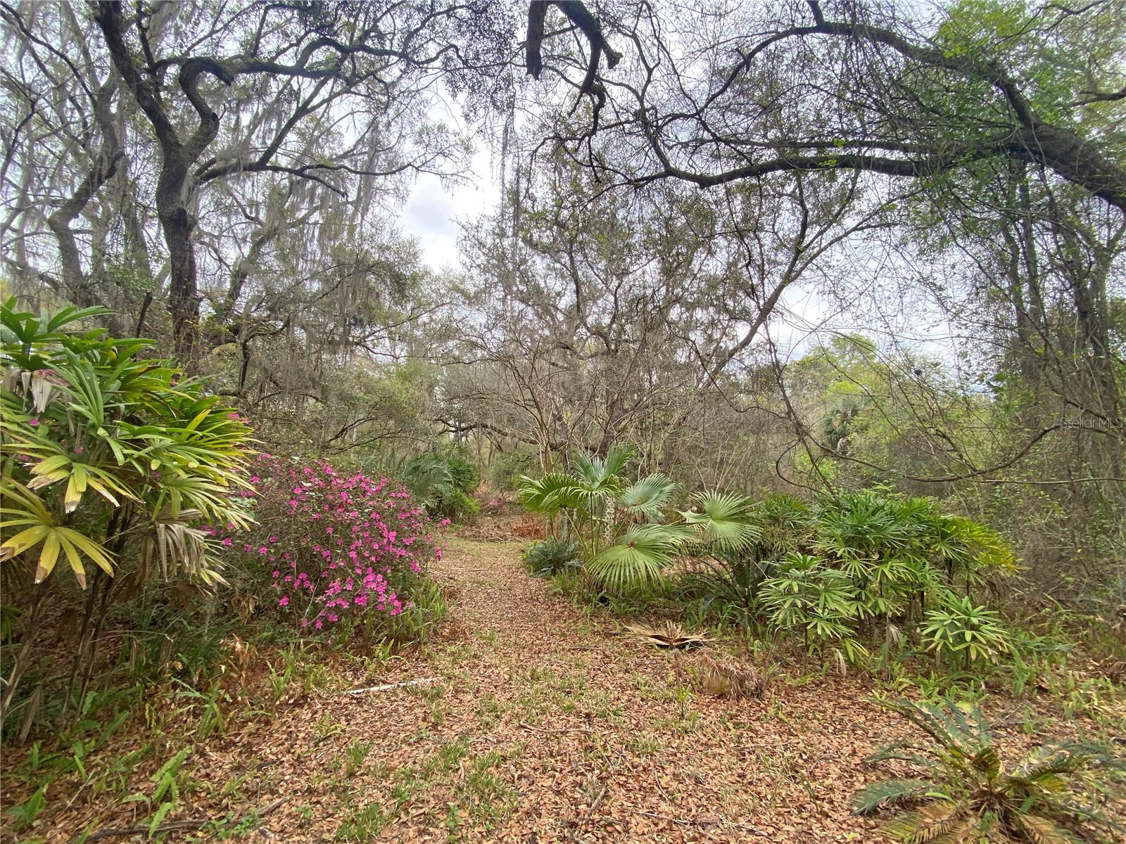 METES AND BOUNDS - Residential