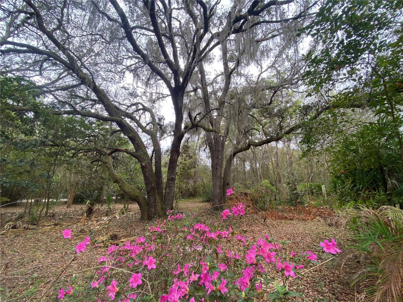 METES AND BOUNDS - Residential