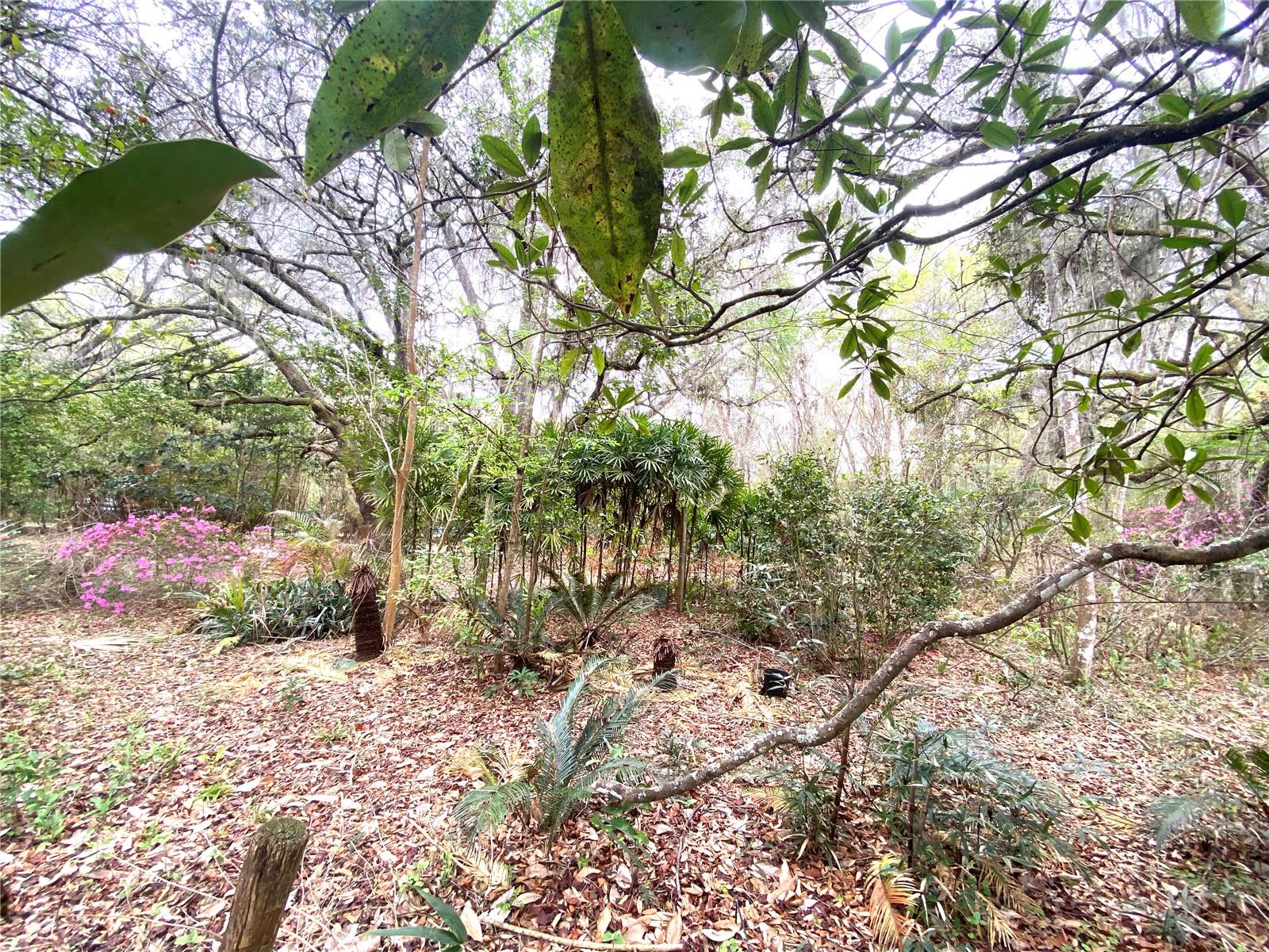 METES AND BOUNDS - Residential