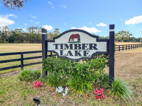 Tiny photo for 8490 NW 118th Terrace, Ocala, FL 34482 (MLS # OM716120)