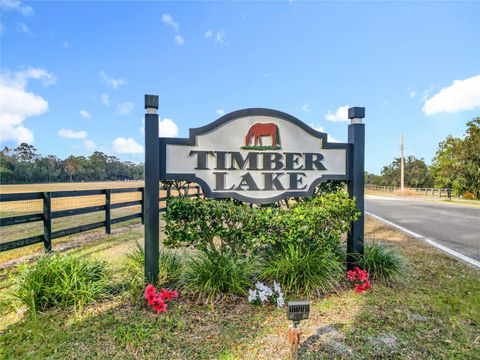 Tiny photo for 8490 NW 118th Terrace, Ocala, FL 34482 (MLS # OM716120)