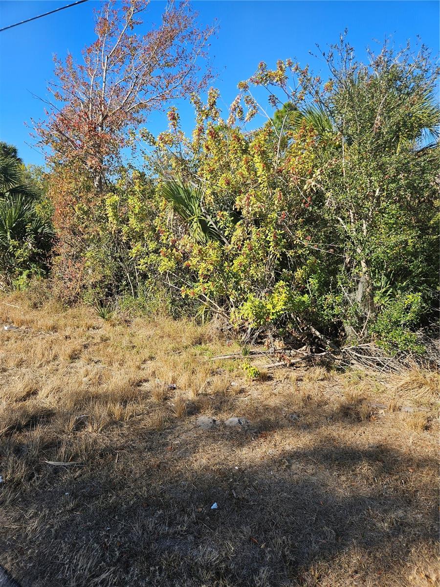 PORT CHARLOTTE SEC 024 - Land