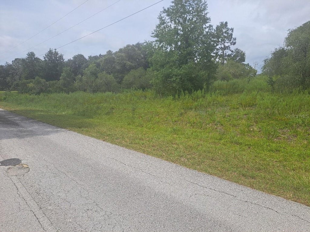 Photo of 00 SE 125th Court, Dunnellon, FL 34431 (MLS # OM731339)