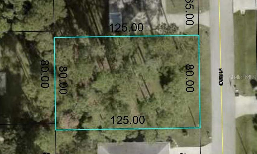 PALM COAST SEC 13 BRESSLER PRCL H BROOKSIDE PRCL P - Land