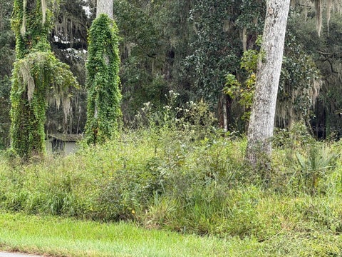 Tiny photo for County Road 426e, Lake Panasoffkee, FL 33538 (MLS # G5118572)