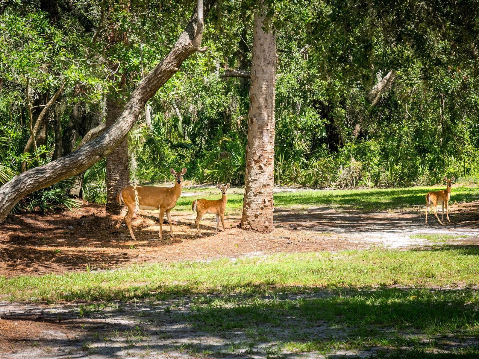 ACREAGE & UNREC - Residential