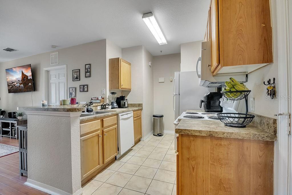 REGISTRY/MICHIGAN PARK CONDO - Residential