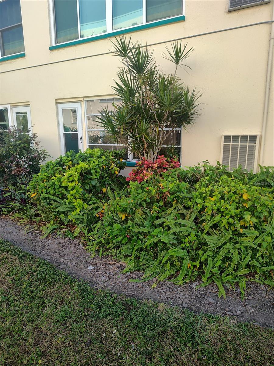 TOWN SHORES OF GULFPORT - Residential