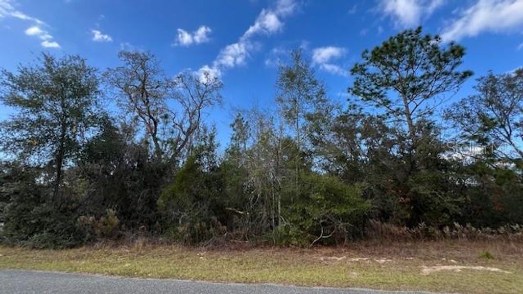 Photo of 141 W Ruska Place, Citrus Springs, FL 34434 (MLS # O6368839)