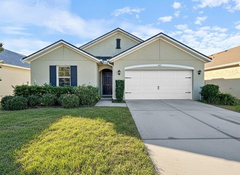 Photo of 4411 Lindever Lane, Palmetto, FL 34221 (MLS # TB8465414)
