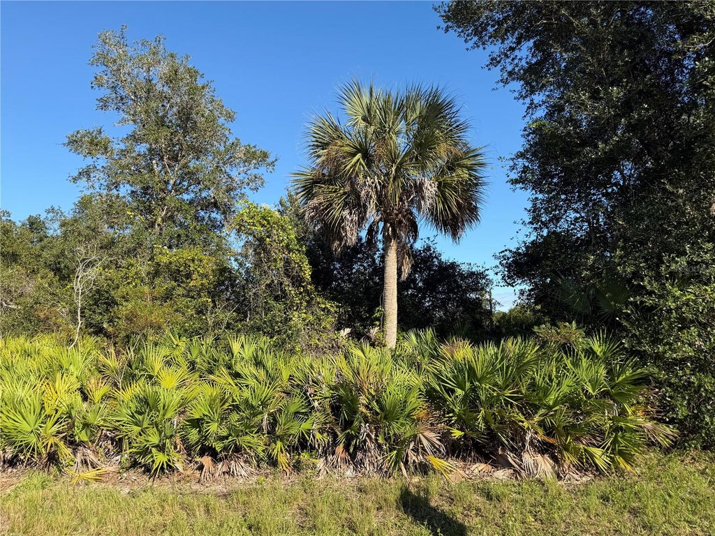 Photo of 13499 Eleanor Avenue, Port Charlotte, FL 33953 (MLS # D6149310)