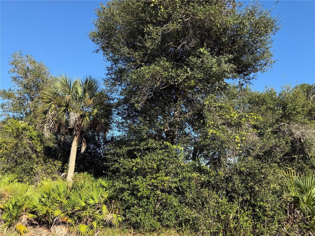 Photo of 13499 Eleanor Avenue, Port Charlotte, FL 33953 (MLS # D6149310)