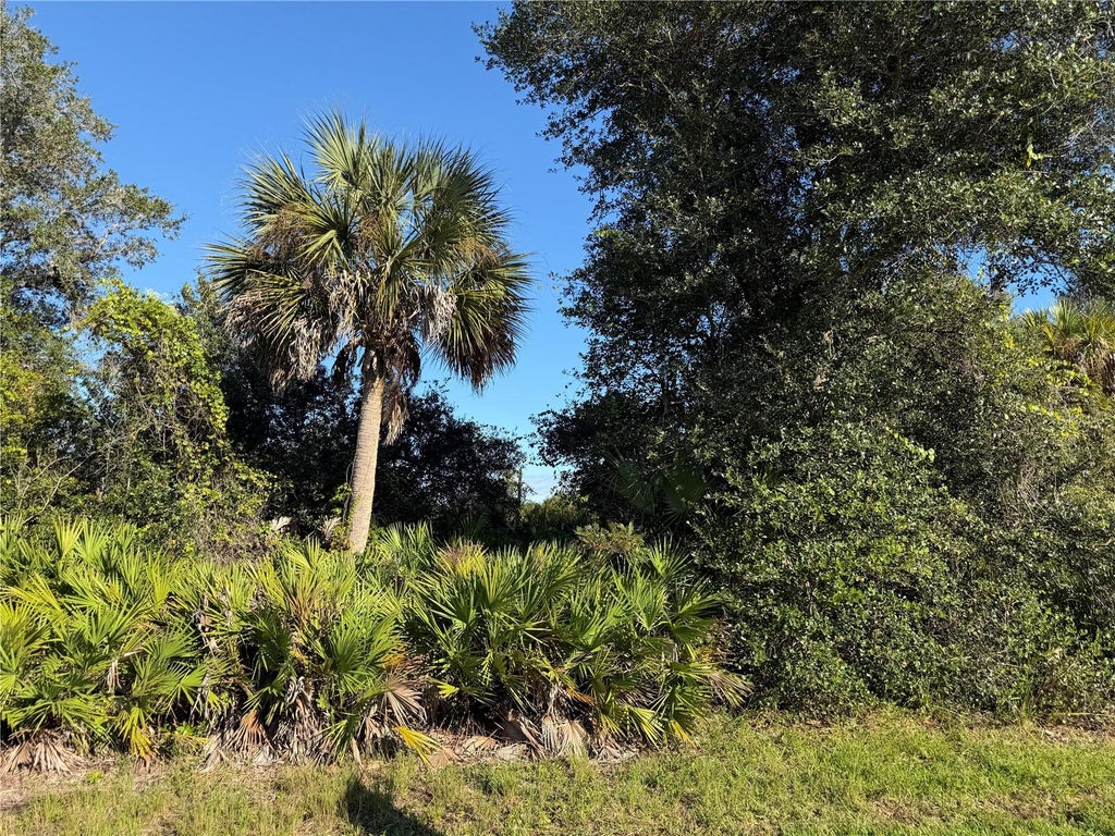 Photo of 13499 Eleanor Avenue, Port Charlotte, FL 33953 (MLS # D6149310)